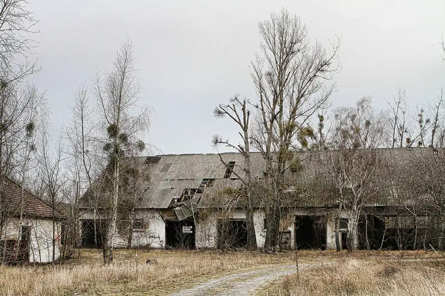 003 | 2011 | Döberitzer Heide | ehemalige russische Kasernen | © carsten riede fotografie