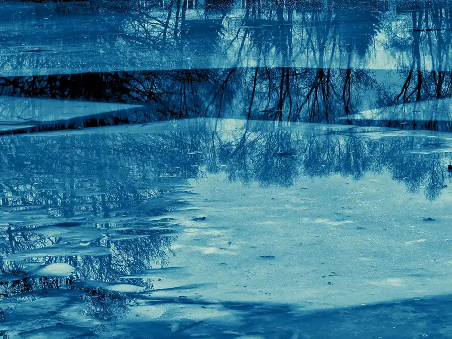 067 | 2012 | Berlin | Obersee-Orankesee-Park | © carsten riede fotografie