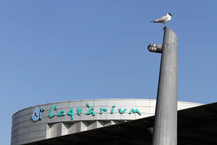 001 | 2012 | Barcelona | L´Aquarium | © carsten riede fotografie