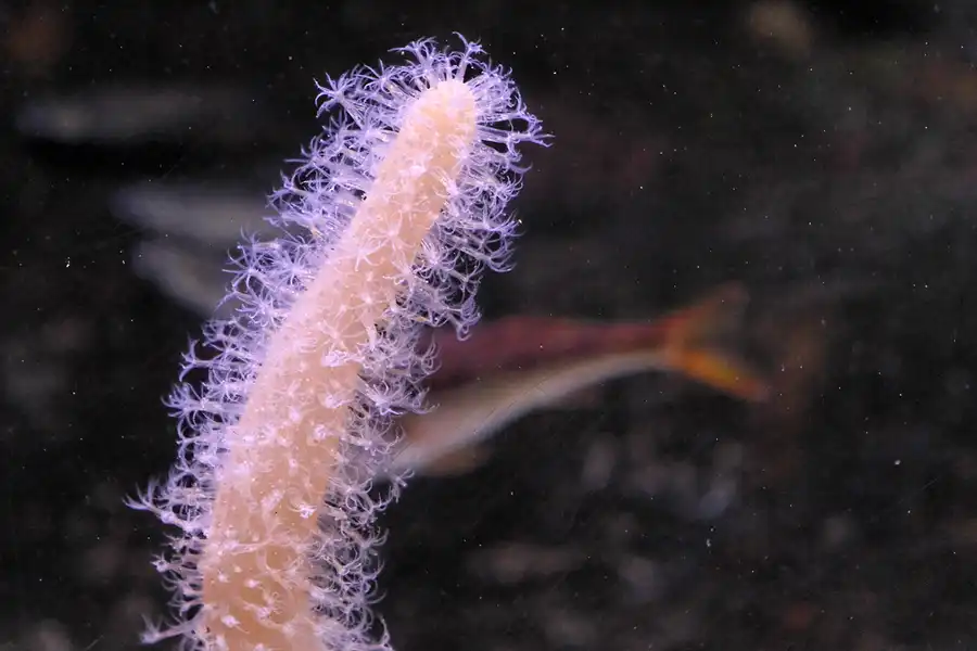 002 | 2012 | Barcelona | L´Aquarium | © carsten riede fotografie