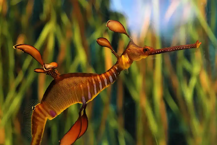 072 | 2012 | Barcelona | L´Aquarium | © carsten riede fotografie