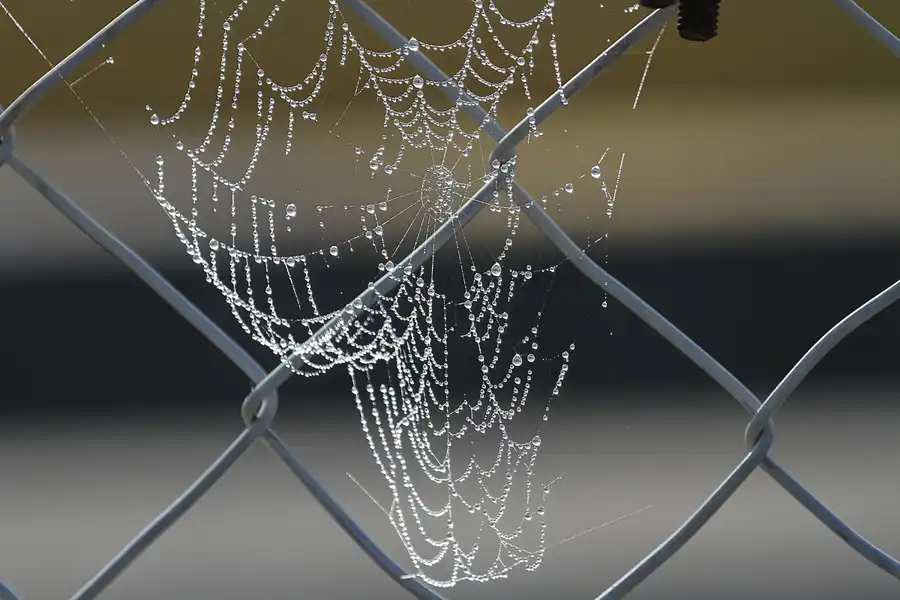 148 | 2012 | Barcelona | Circuit De Catalunya | © carsten riede fotografie