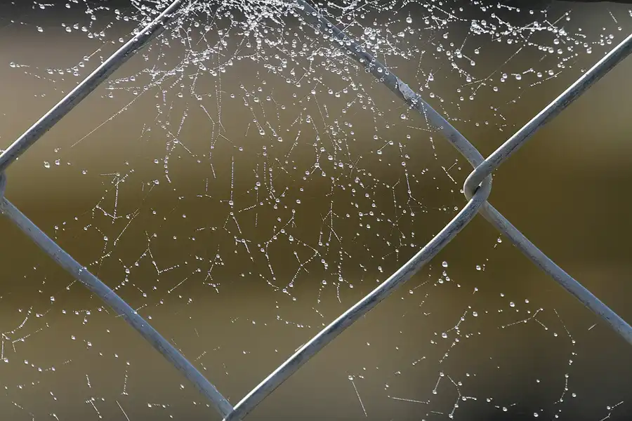 149 | 2012 | Barcelona | Circuit De Catalunya | © carsten riede fotografie