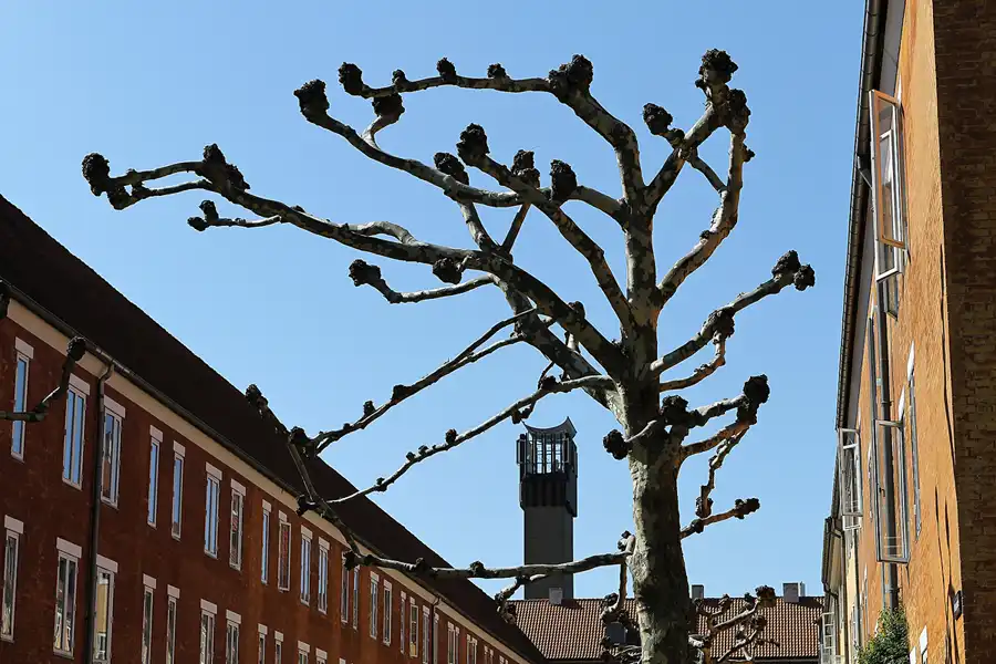 119 | 2012 | København | © carsten riede fotografie