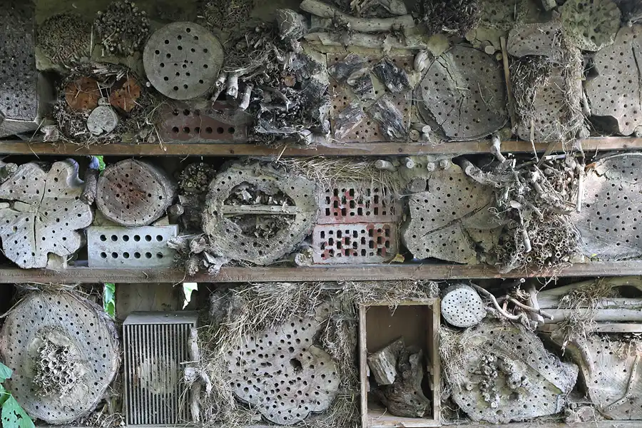 006 | 2012 | Berlin | Botanischer Volkspark Blankenfelde-Pankow | © carsten riede fotografie