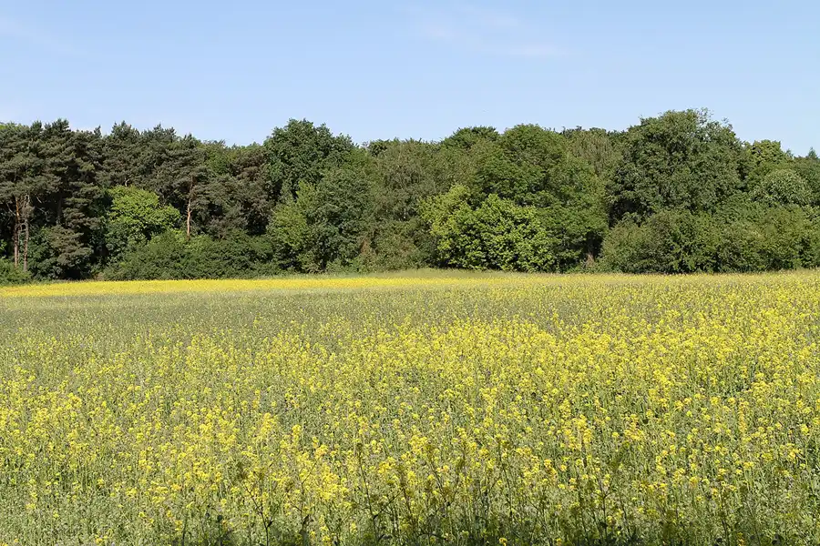 011 | 2012 | Berlin | Botanischer Volkspark Blankenfelde-Pankow | © carsten riede fotografie