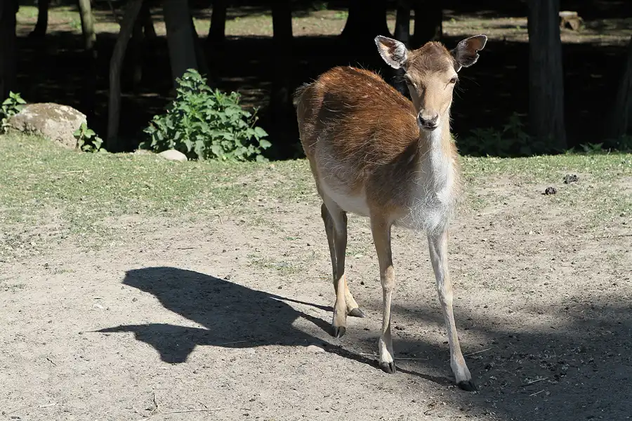 013 | 2012 | Berlin | Botanischer Volkspark Blankenfelde-Pankow | © carsten riede fotografie