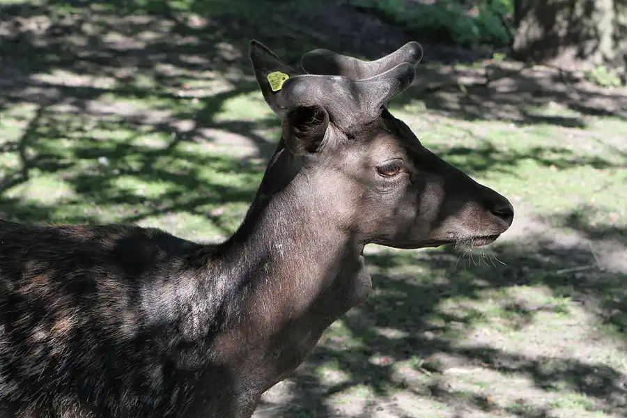 014 | 2012 | Berlin | Botanischer Volkspark Blankenfelde-Pankow | © carsten riede fotografie
