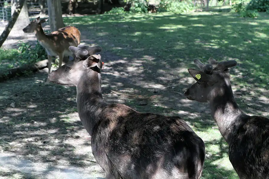 015 | 2012 | Berlin | Botanischer Volkspark Blankenfelde-Pankow | © carsten riede fotografie