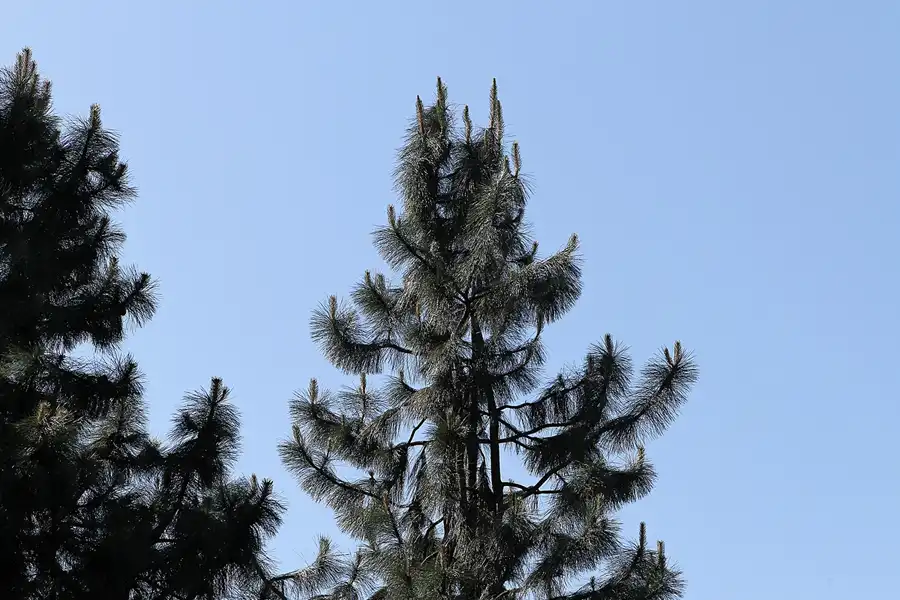 028 | 2012 | Berlin | Botanischer Volkspark Blankenfelde-Pankow | © carsten riede fotografie