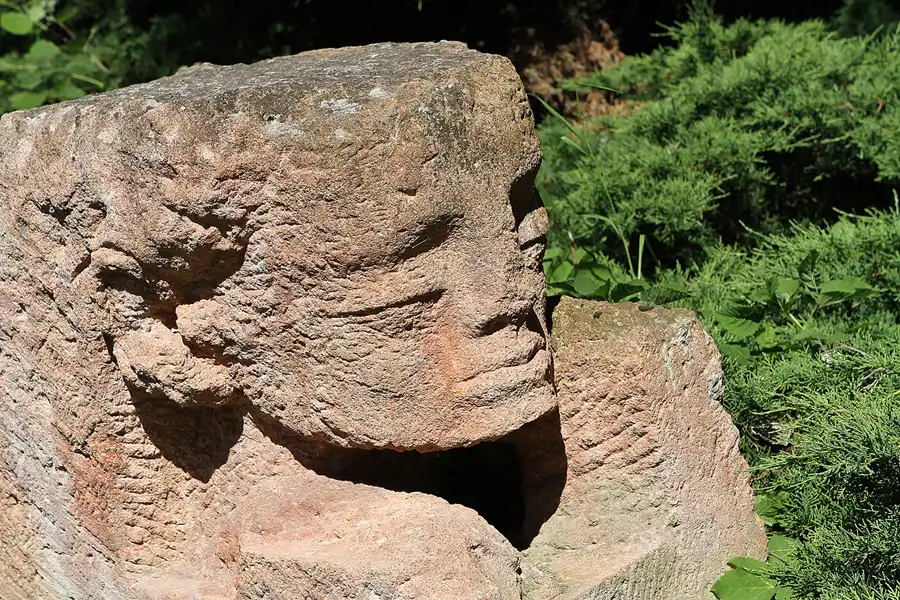 030 | 2012 | Berlin | Botanischer Volkspark Blankenfelde-Pankow | © carsten riede fotografie