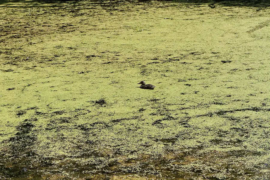 054 | 2012 | Bernau bei Berlin | © carsten riede fotografie