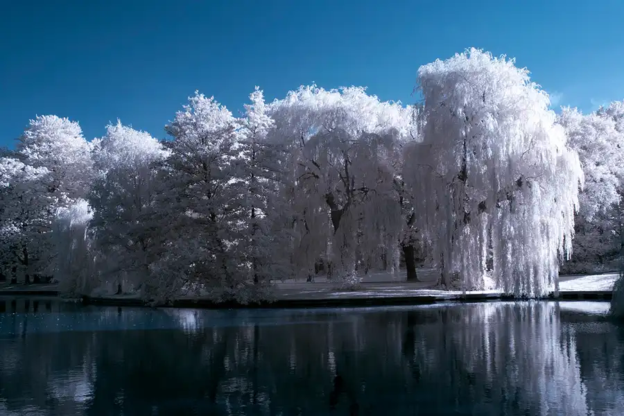 006 | 2012 | Berlin | Obersee-Orankesee-Park | © carsten riede fotografie