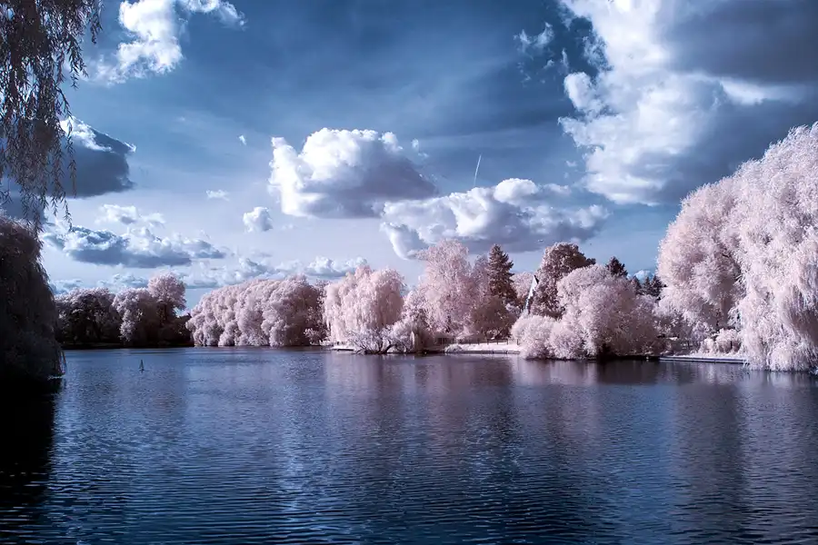 016 | 2012 | Berlin | Obersee-Orankesee-Park | © carsten riede fotografie