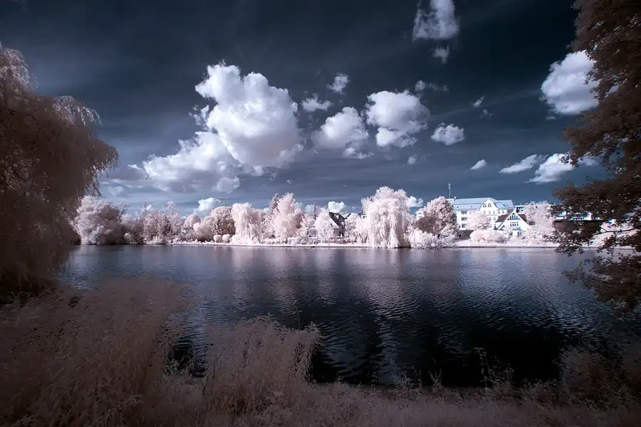 019 | 2012 | Berlin | Obersee-Orankesee-Park | © carsten riede fotografie