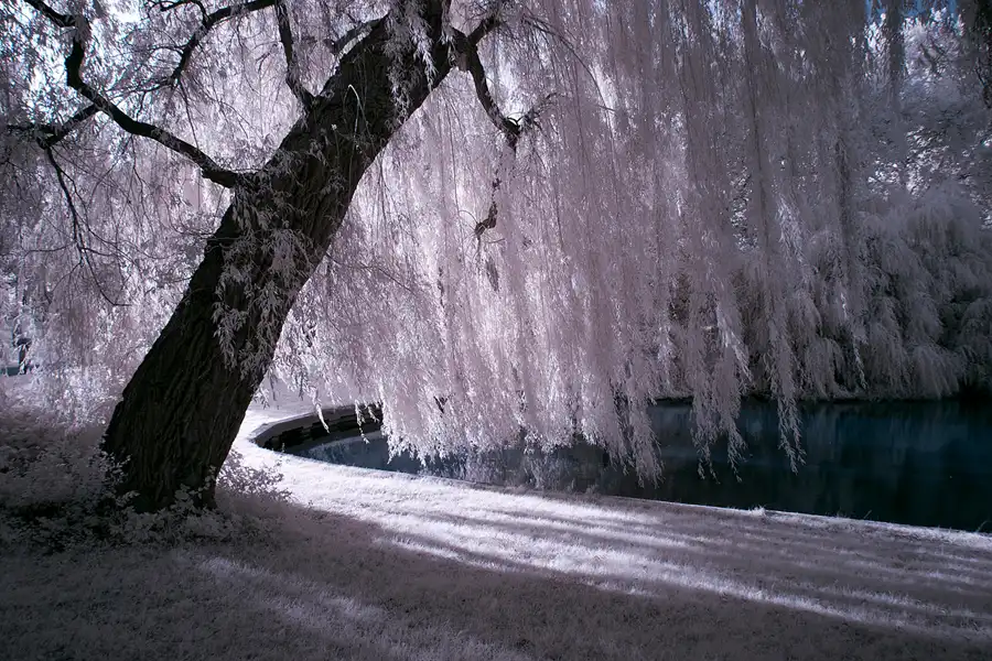 021 | 2012 | Berlin | Obersee-Orankesee-Park | © carsten riede fotografie