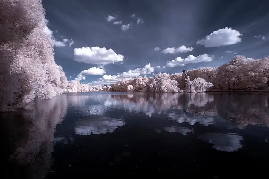 024 | 2012 | Berlin | Obersee-Orankesee-Park | © carsten riede fotografie
