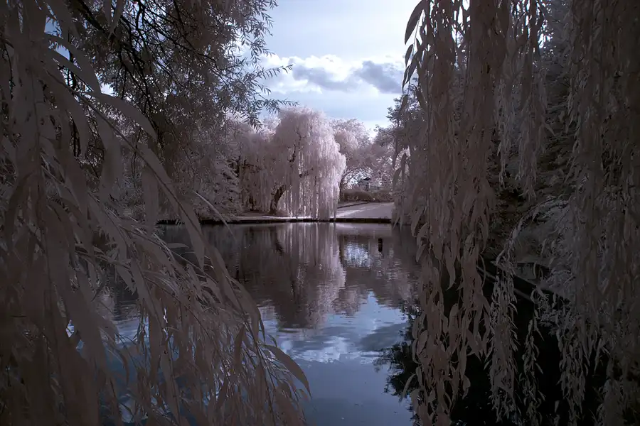 027 | 2012 | Berlin | Obersee-Orankesee-Park | © carsten riede fotografie