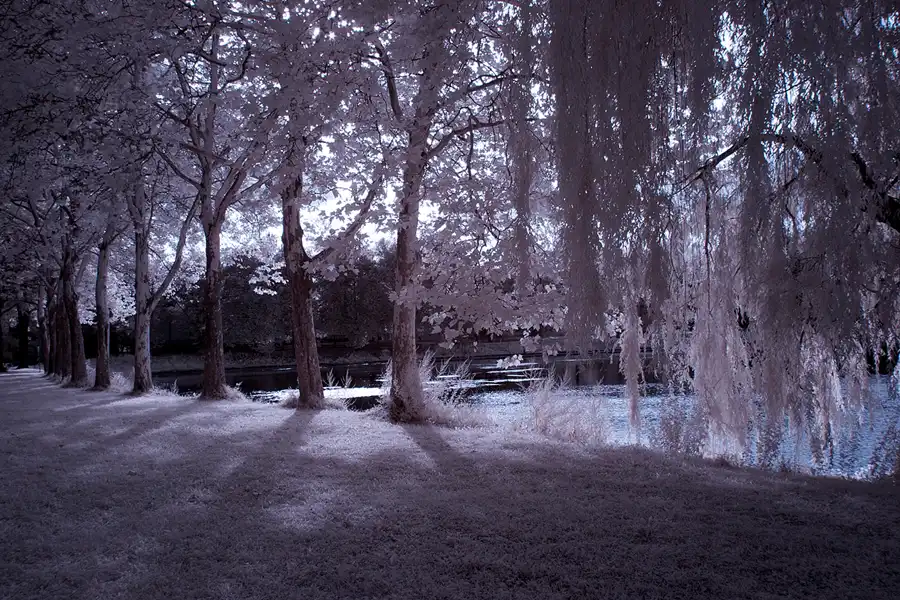 028 | 2012 | Berlin | Obersee-Orankesee-Park | © carsten riede fotografie