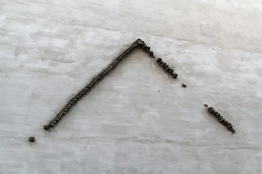 031 | 2012 | Berlin | Köpenick | © carsten riede fotografie