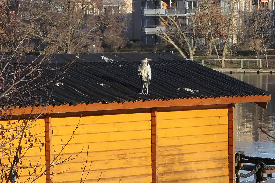 044 | 2012 | Berlin | Köpenick | © carsten riede fotografie