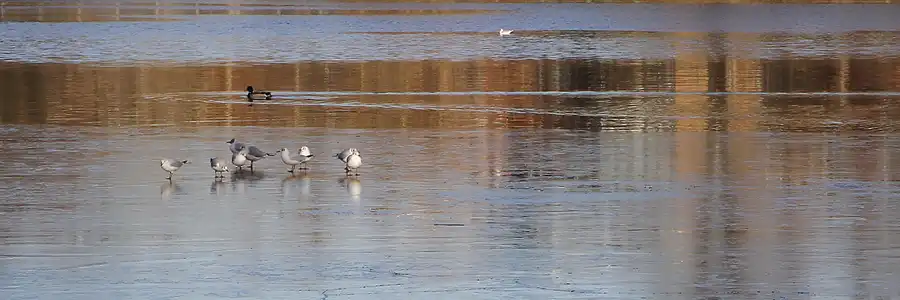 049 | 2012 | Berlin | Köpenick | © carsten riede fotografie