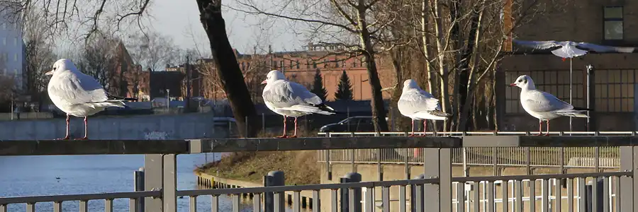 106 | 2012 | Berlin | Platz am Kaisersteg | © carsten riede fotografie