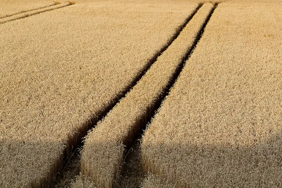 046 | 2013 | Dölzig | © carsten riede fotografie