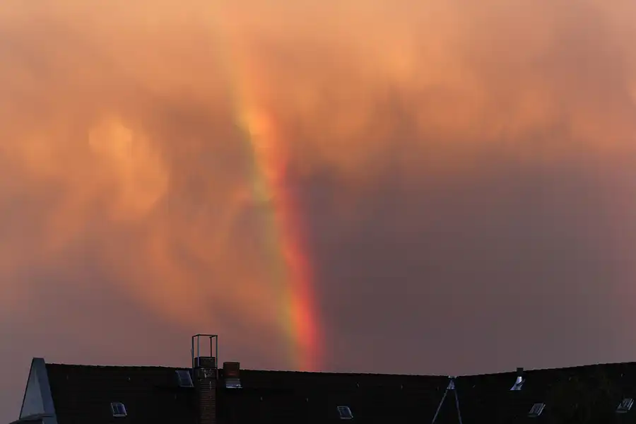 055 | 2013 | Berlin | © carsten riede fotografie