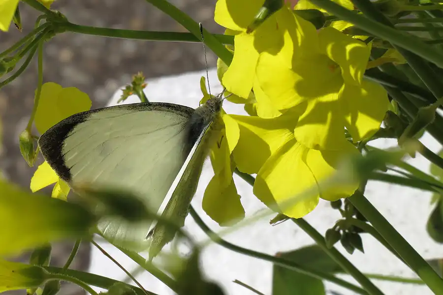 003 | 2013 | Arcos De La Frontera | © carsten riede fotografie