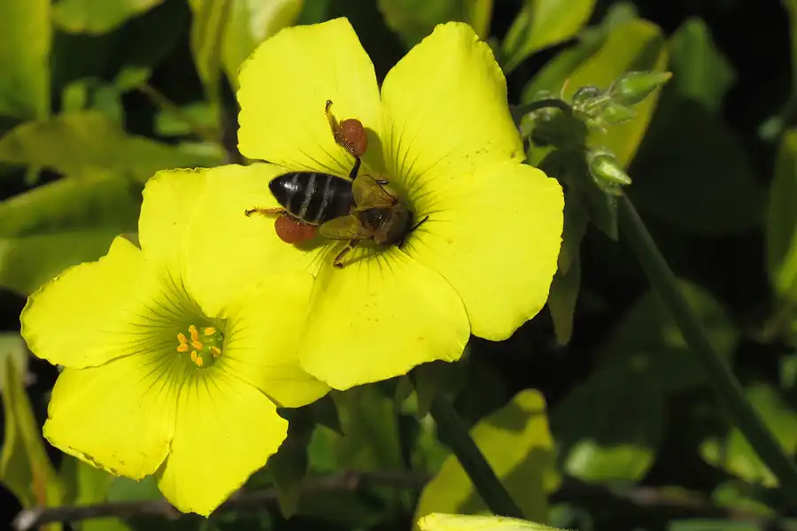004 | 2013 | Arcos De La Frontera | © carsten riede fotografie