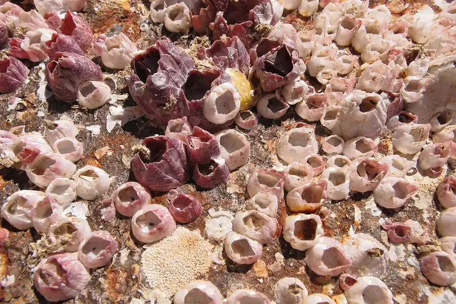 032 | 2013 | Cabo Roche | © carsten riede fotografie