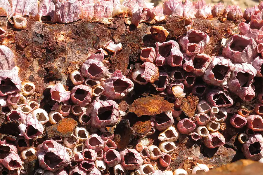 033 | 2013 | Cabo Roche | © carsten riede fotografie