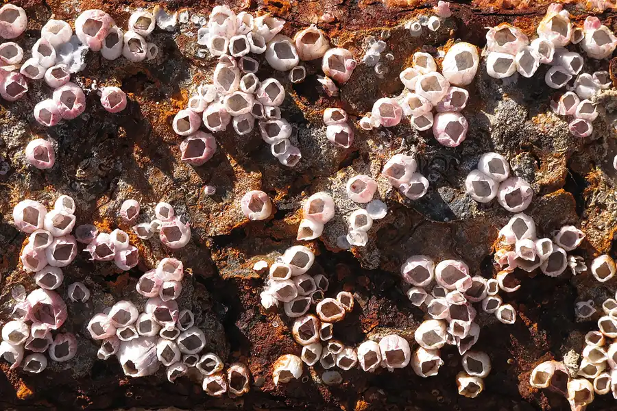 034 | 2013 | Cabo Roche | © carsten riede fotografie