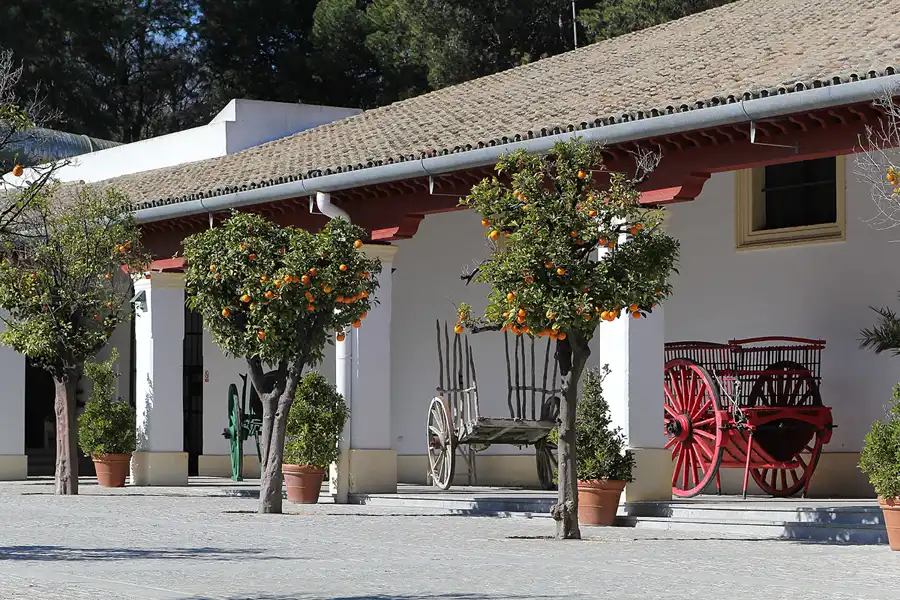 084 | 2013 | Jerez De La Frontera | © carsten riede fotografie