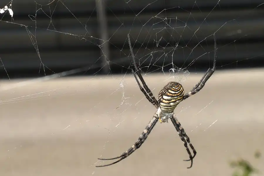 085 | 2013 | Jerez De La Frontera | © carsten riede fotografie