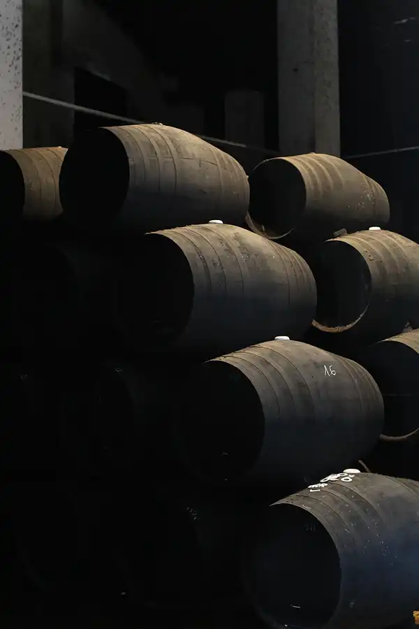 098 | 2013 | Jerez De La Frontera | Bodegas Sandeman | © carsten riede fotografie