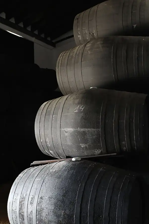 099 | 2013 | Jerez De La Frontera | Bodegas Sandeman | © carsten riede fotografie