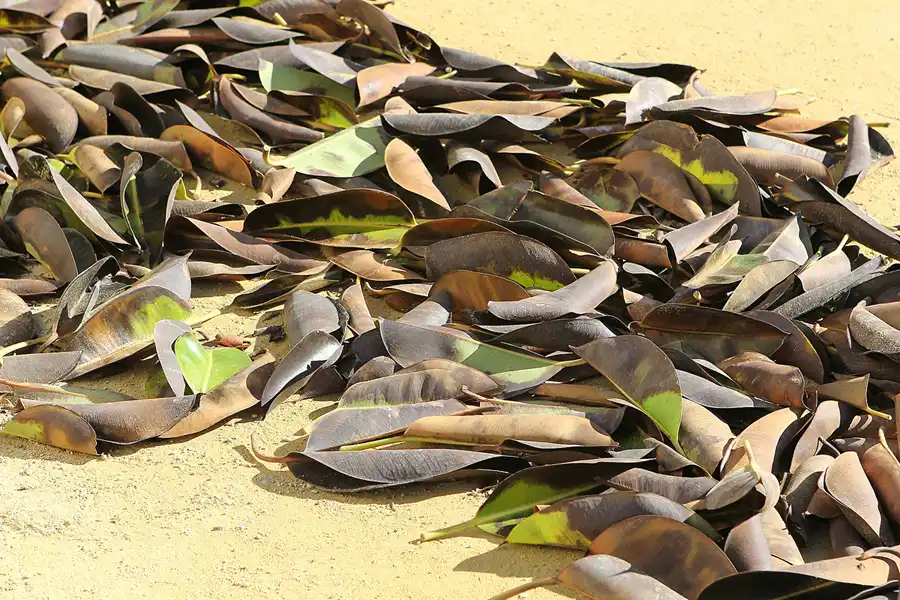 050 | 2013 | Cadiz | © carsten riede fotografie