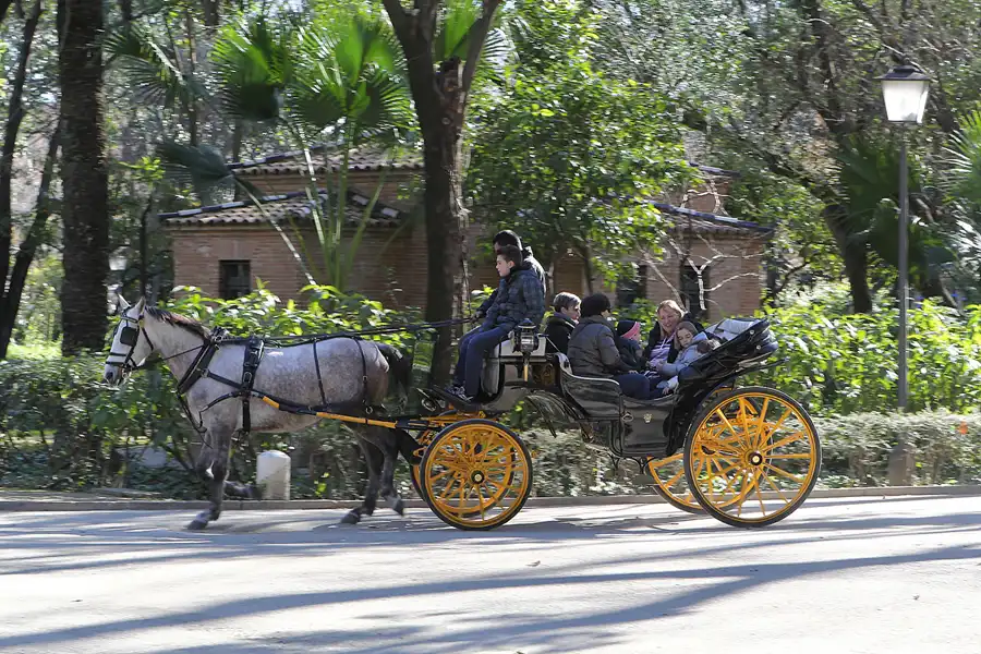 030 | 2013 | Sevilla | © carsten riede fotografie