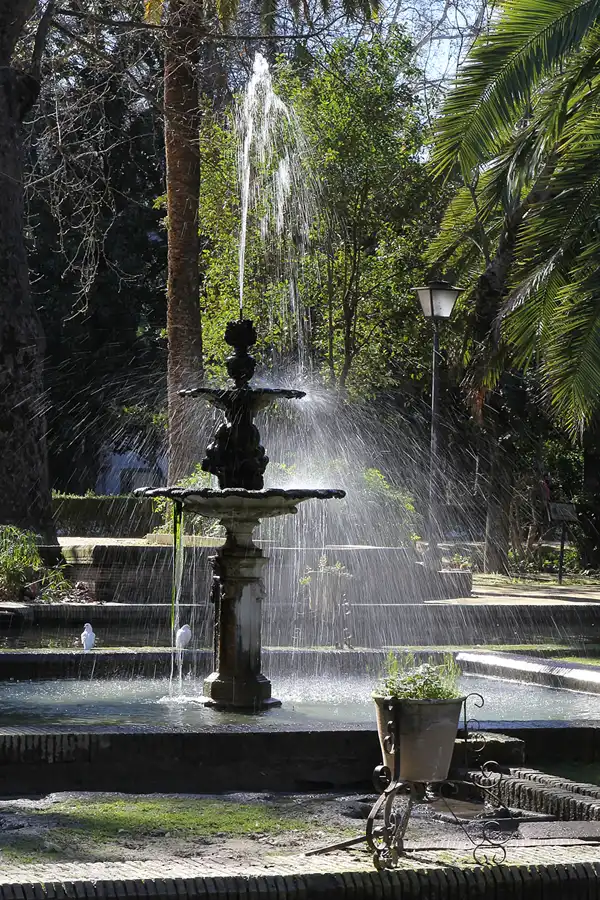 032 | 2013 | Sevilla | © carsten riede fotografie