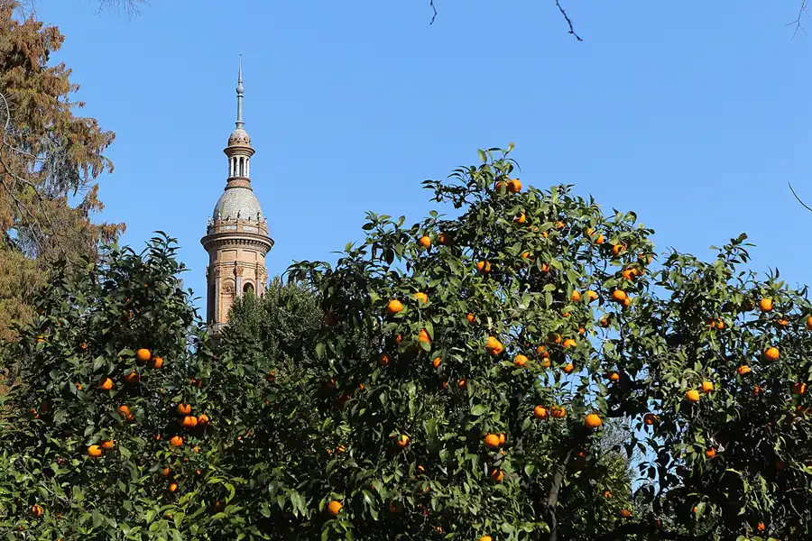 041 | 2013 | Sevilla | © carsten riede fotografie