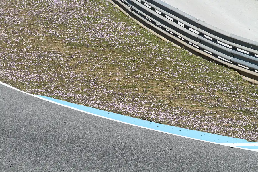 200 | 2013 | Jerez De La Frontera | Circuito De Jerez | © carsten riede fotografie