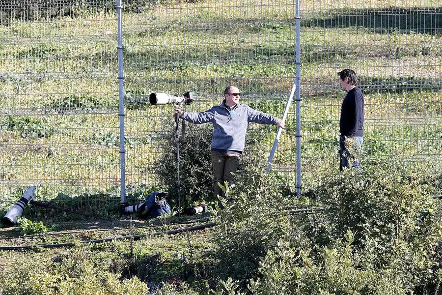 227 | 2013 | Jerez De La Frontera | Circuito De Jerez | © carsten riede fotografie