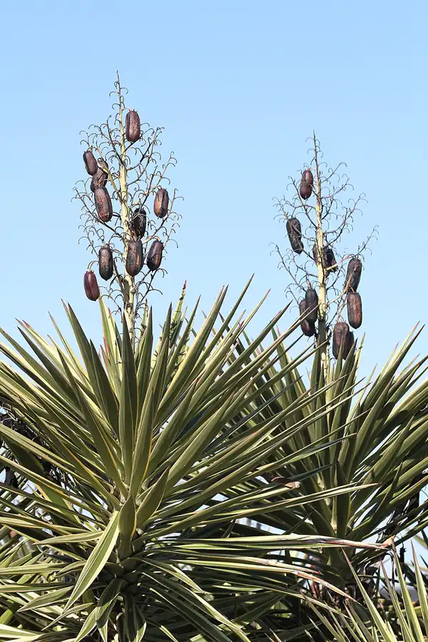 240 | 2013 | Jerez De La Frontera | Circuito De Jerez | © carsten riede fotografie