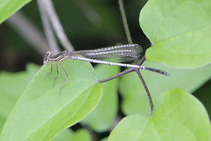 113 | 2013 | Eberswalde | Papierfabrik Wolfswinkel | © carsten riede fotografie