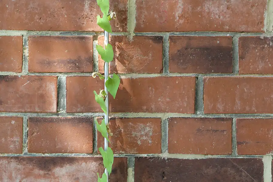 020 | 2013 | Leipzig | Panometer | © carsten riede fotografie