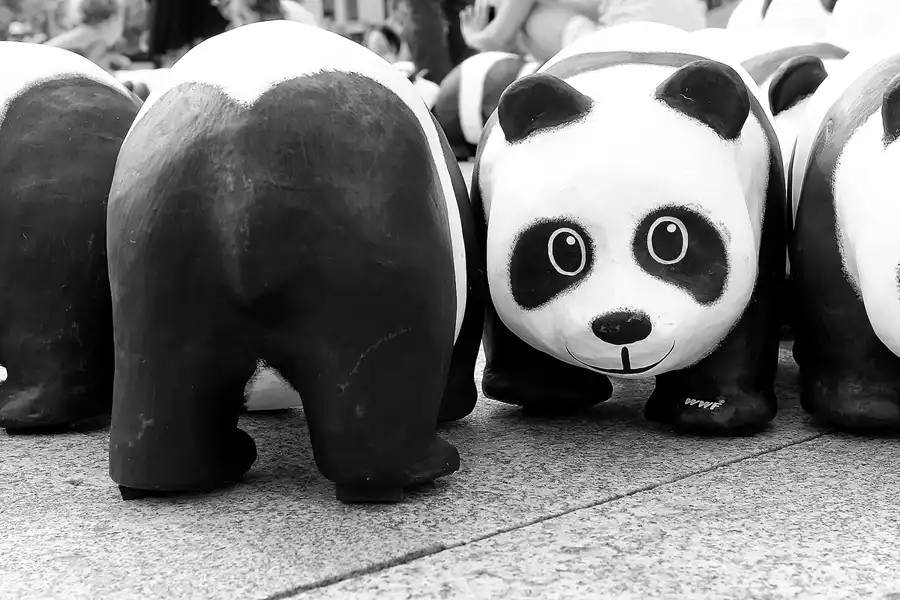 005 | 2013 | Berlin | 1600 Pandas on Tour | © carsten riede fotografie