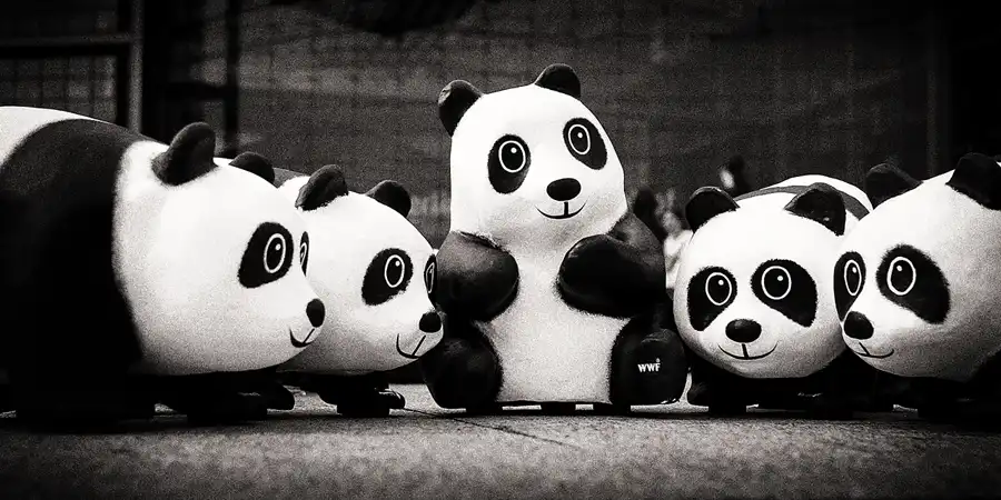 009 | 2013 | Berlin | 1600 Pandas on Tour | © carsten riede fotografie