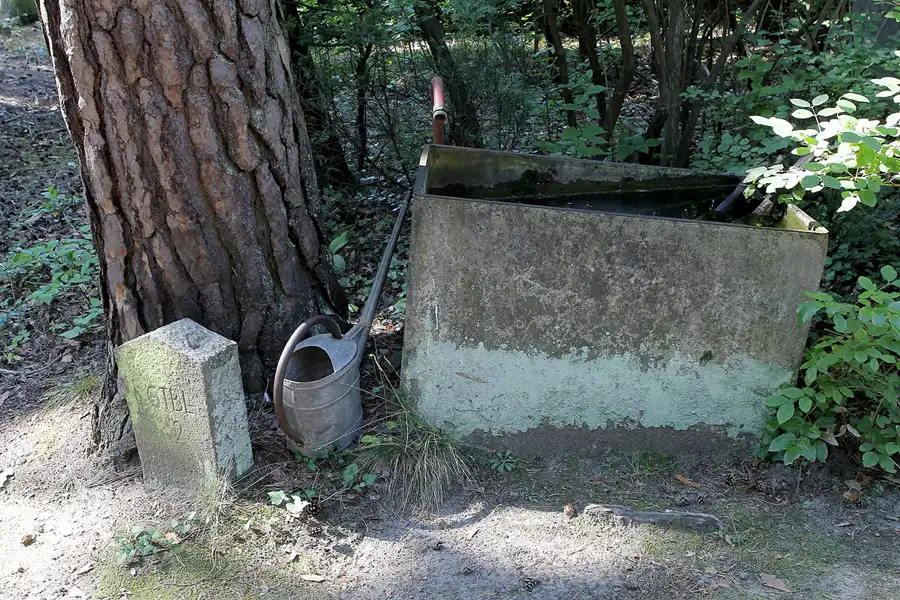 084 | 2013 | Stahnsdorf | Südwestkirchhof | © carsten riede fotografie
